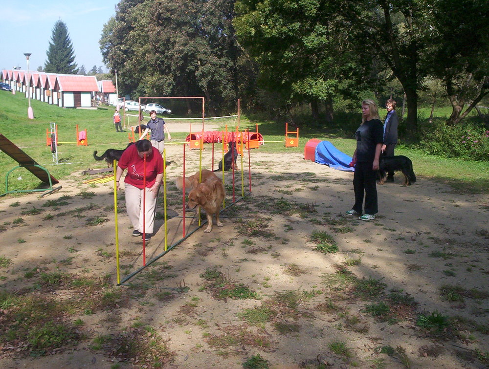 08. nácvik agility