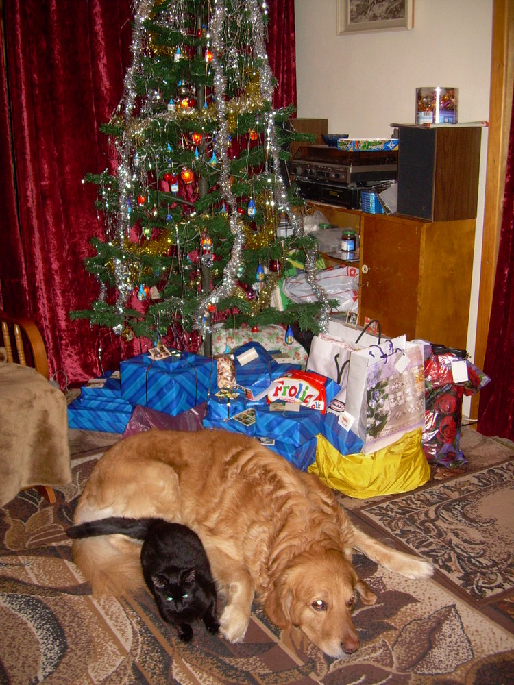 Vánoce 2007